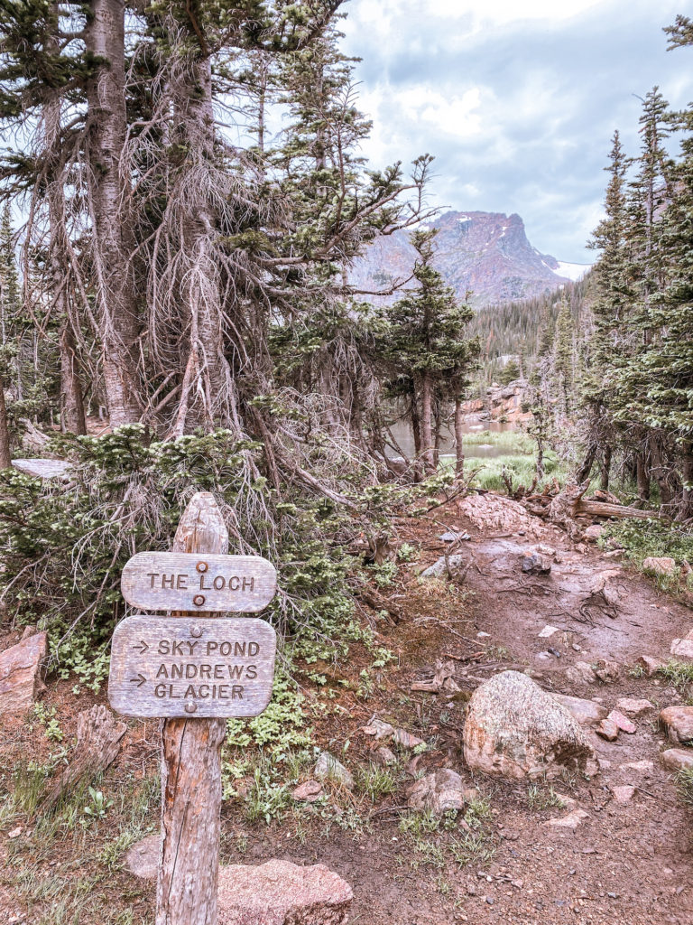 Trail markers for Loch Lake and Sky Pond