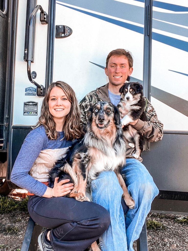 Our two dogs Marvel and Cap - Raising a puppy in an RV
