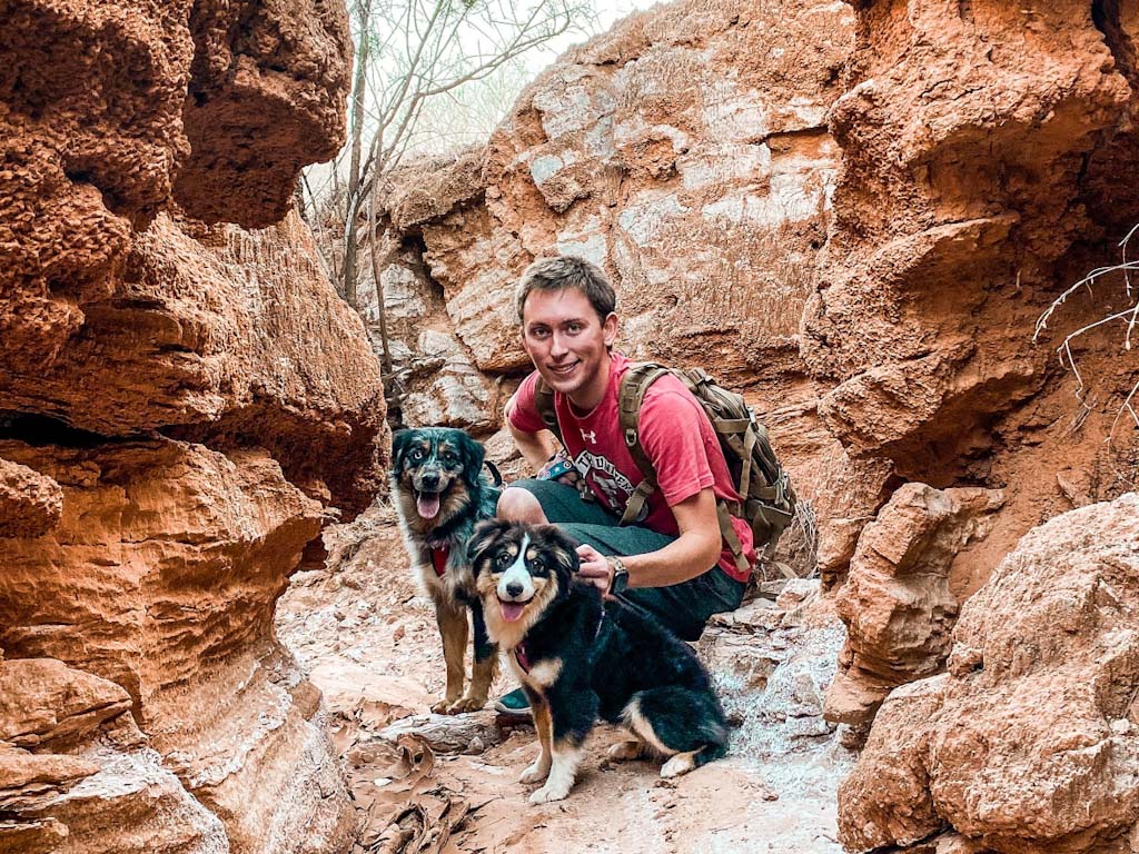 hiking with dogs in summer