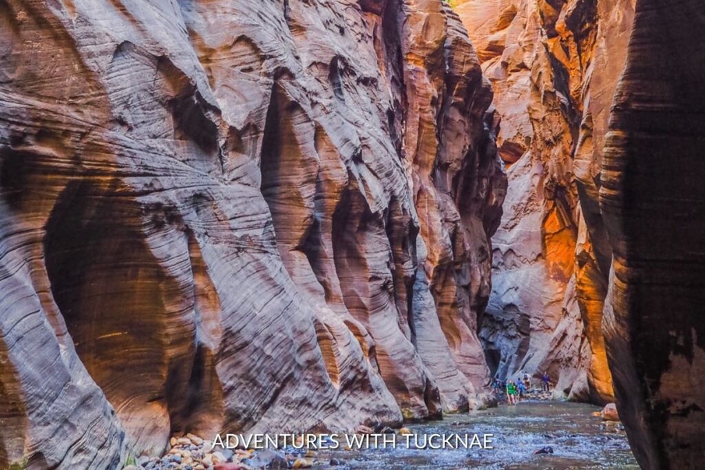 Zion National Park - The Narrows (Top-Down) Hike - 19 Incredible Bucket List National Park Hikes