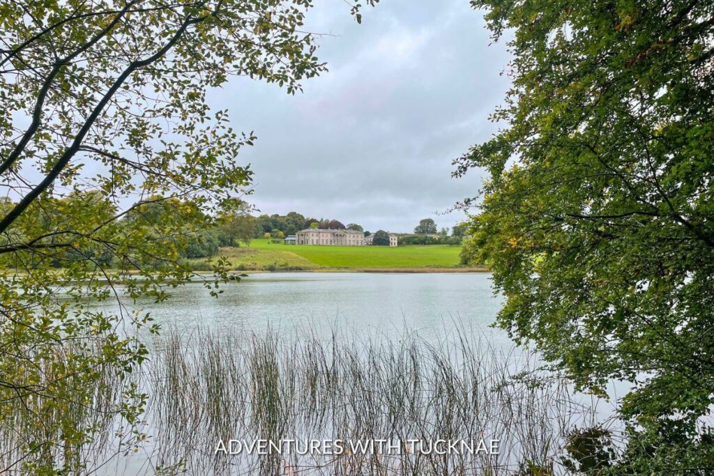 A view of the Ballyfin House Hotel in Ireland from across the lake. The picture is framed with trees and there are reeds sticking up out of the water. 
