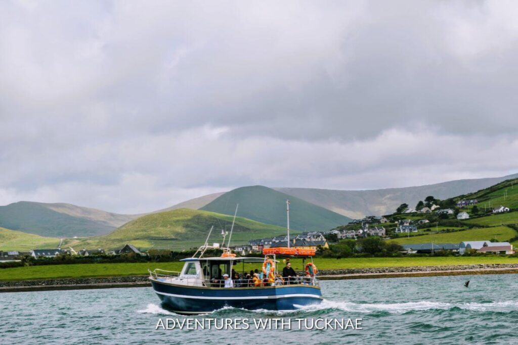 A boat on the water near Dingle, Ireland. The Irish countryside in the background is dotted with houses and farms. There are green mountains in the distance and the sky is dark and cloudy. 