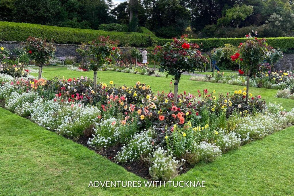 Beautifully manicured castle gardens with flower beds containing red, purple, pink, and white flowers. There are also shaped topiaries. A rock wall surrounds the gardens  