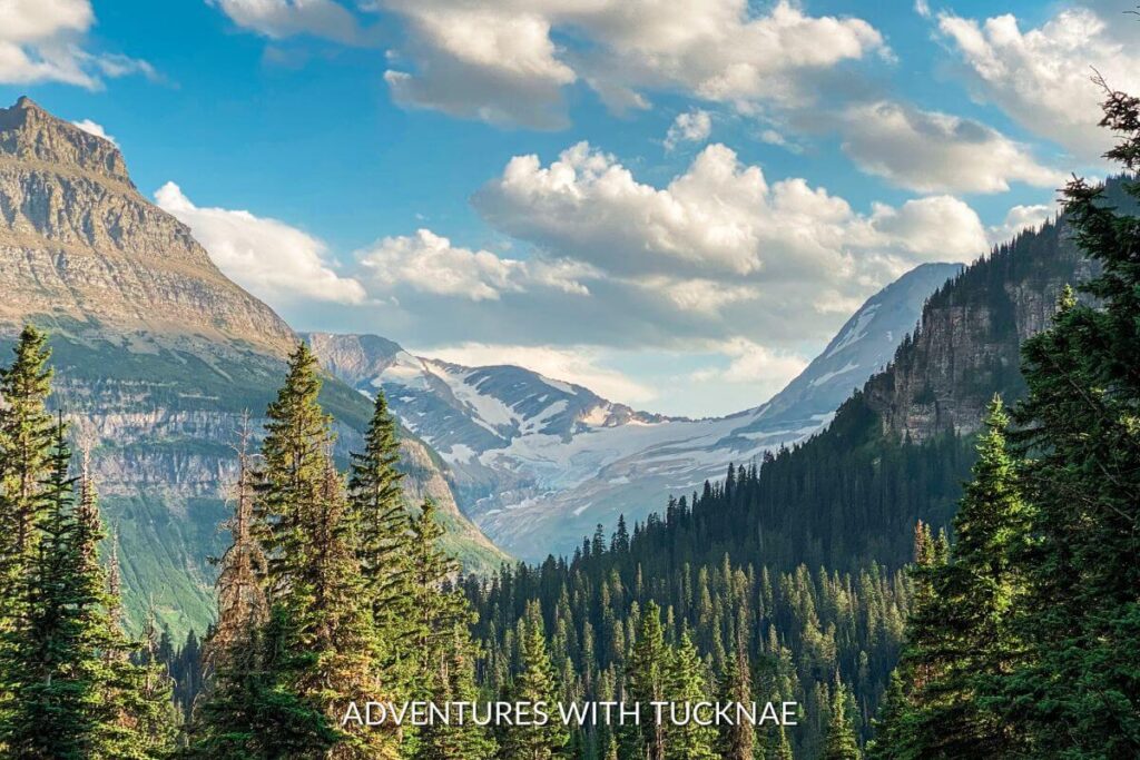 Stunning panoramic views of Glacier National Park. There is a glacier visible in the distance between mountain peaks with green trees in front.