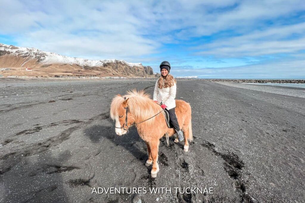 An adventurous woman enjoying horseback riding on the black sand beach near Vik, Iceland.