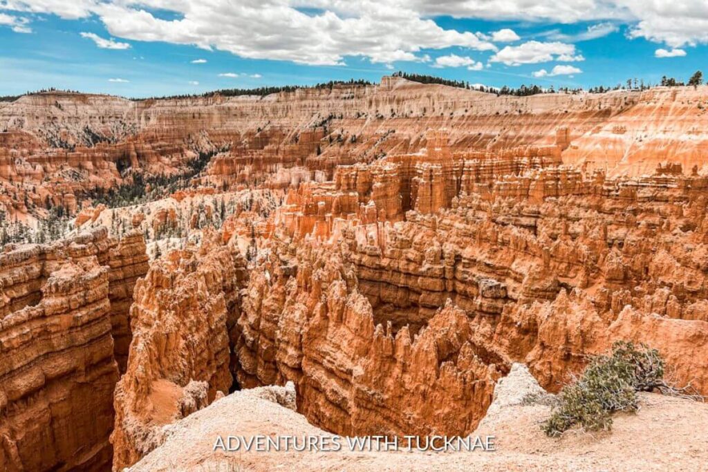 The view of the hoodoos in Bryce Canyon National Park from above. The hoodoos and rock walls are orange and the sky above is bright blue with white clouds. 