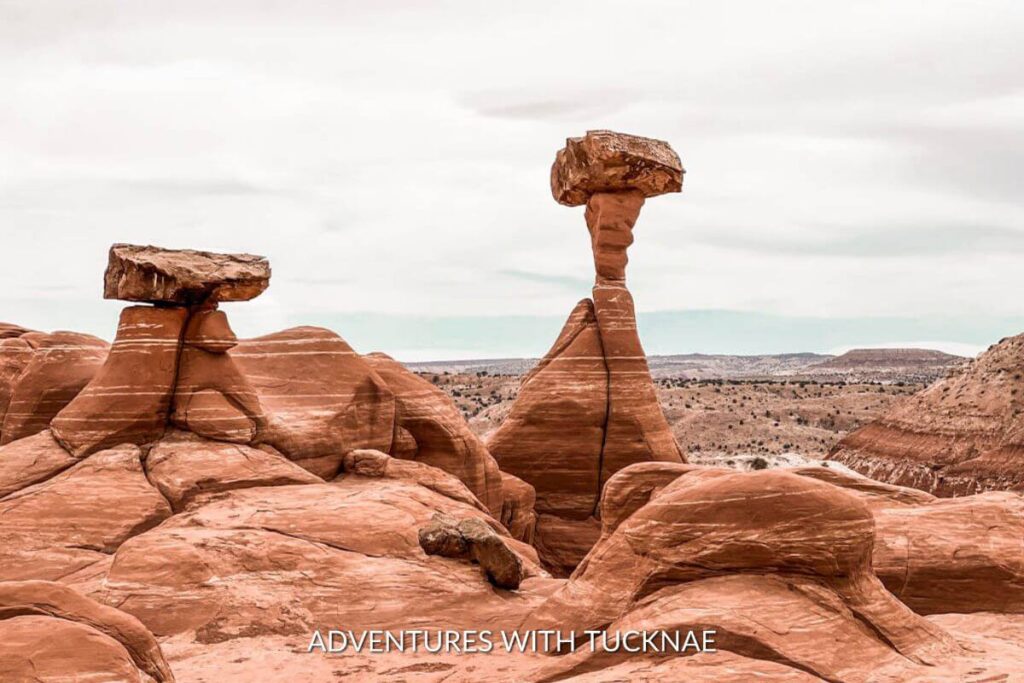 The toadstool hoodoos near Kanab, Utah. There are two main hoodoos with other rock formations around the area as well. 