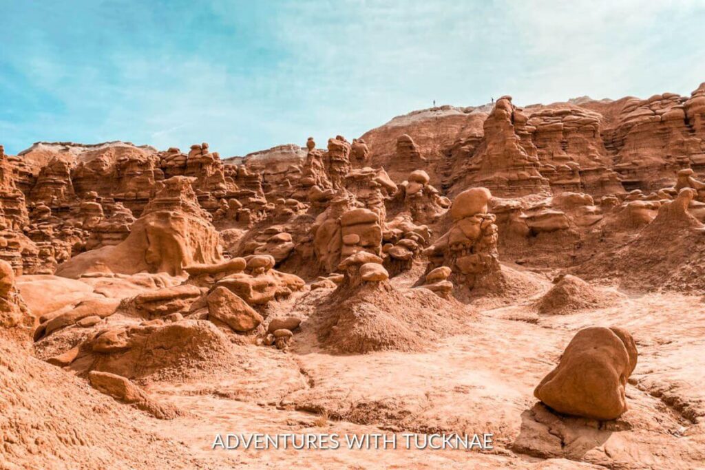 A view of the many orange/red hoodoos in Goblin Valley National Park - one of the best things to do in Southern Utah! 
