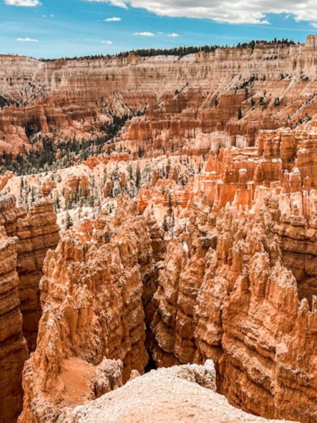 The view of the hoodoos in Bryce Canyon National Park from above. The hoodoos and rock walls are orange and the sky above is bright blue with white clouds.