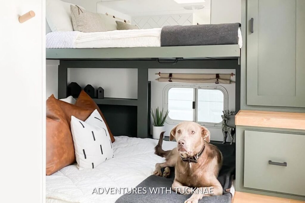A dog laying on the bottom bunk of bunk beds in an RV