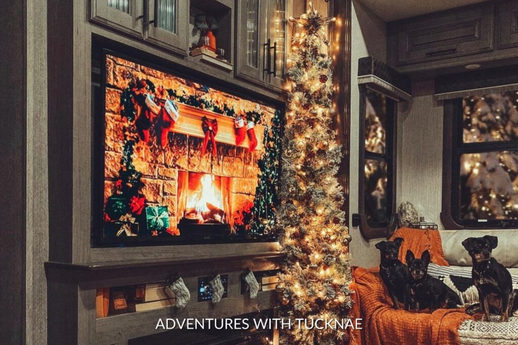 A cozy RV decorated for Christmas with three cute puppies on the couch