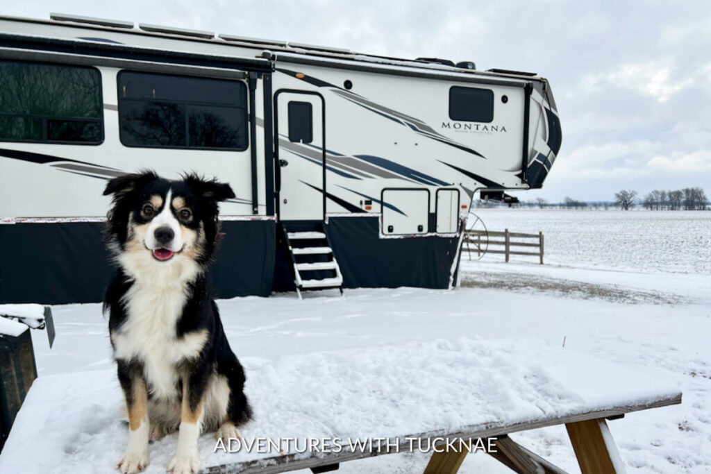 A dog sitting on a picnic table in front of an RV in the snow