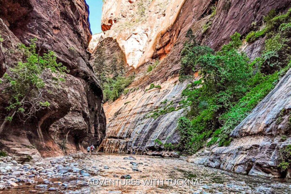 The Zion Narrows Bottom-Up to Big Springs hiking trail