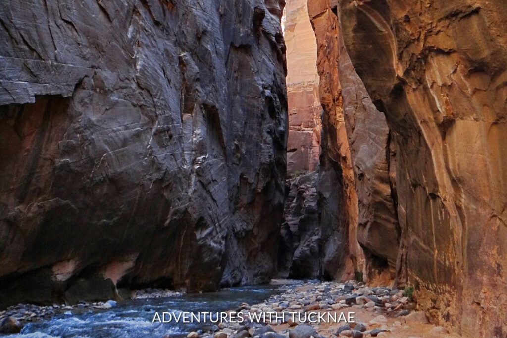 The tranquil Virgin River flowing through the towering walls of The Narrows, with a pathway of stones leading into the shaded canyon depths.