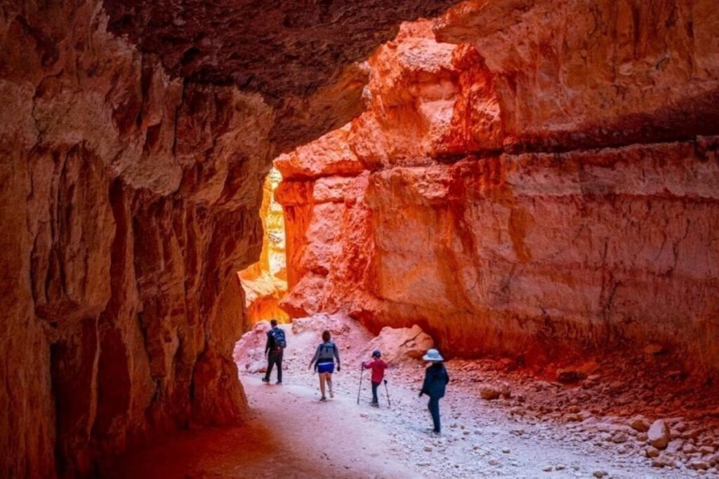 Hikers walk through the 'Wall Street' section of Bryce Canyon National Park, a dramatic and narrow passage between towering orange cliffs glowing under sunlight.