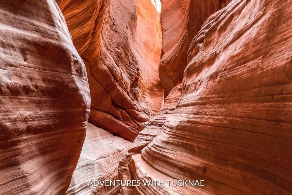 Winding red sandstone walls of Peekaboo Slot Canyon, Utah, with intricate layers and textures highlighted by the soft overhead light.