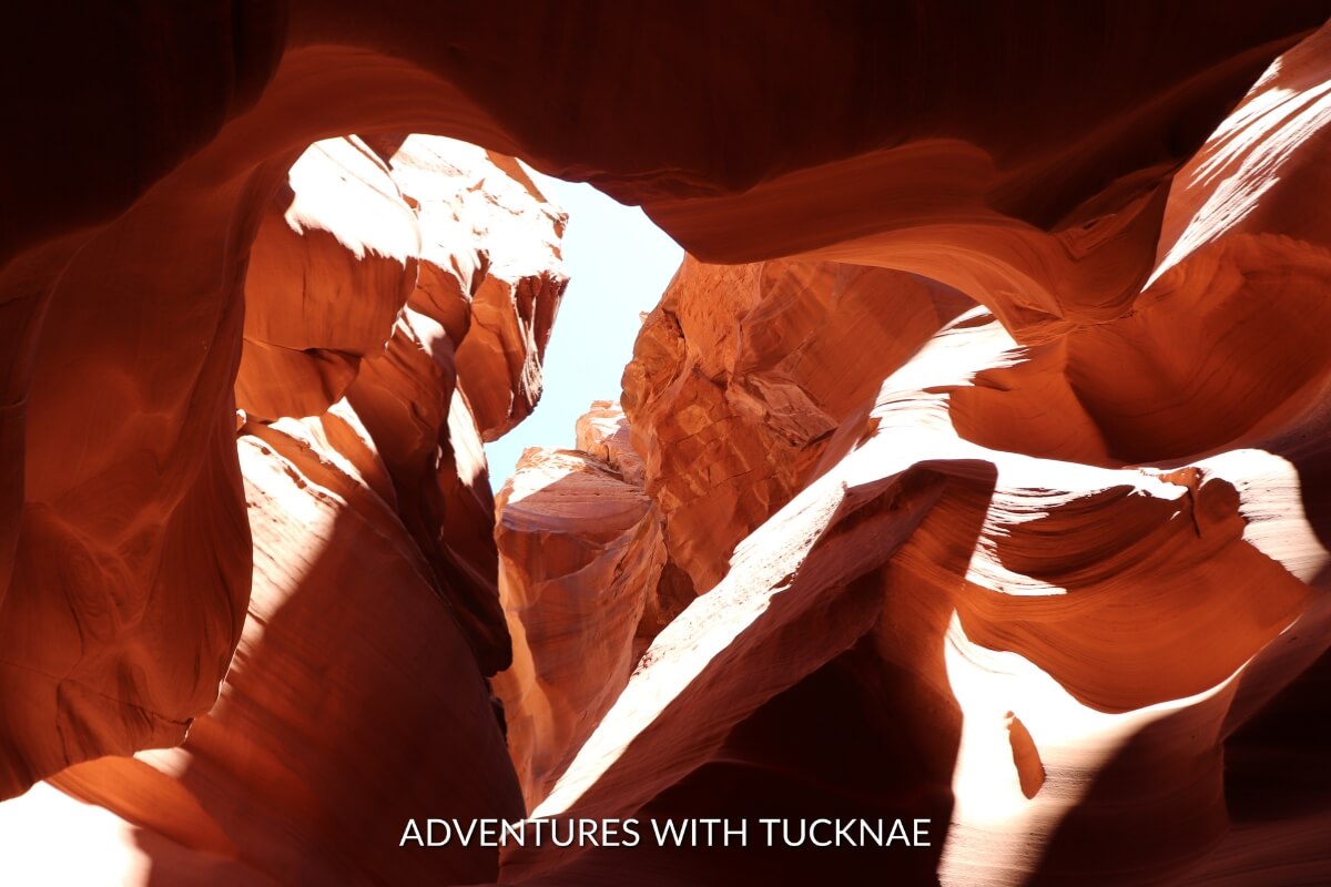 High Shine Tight Canyon –