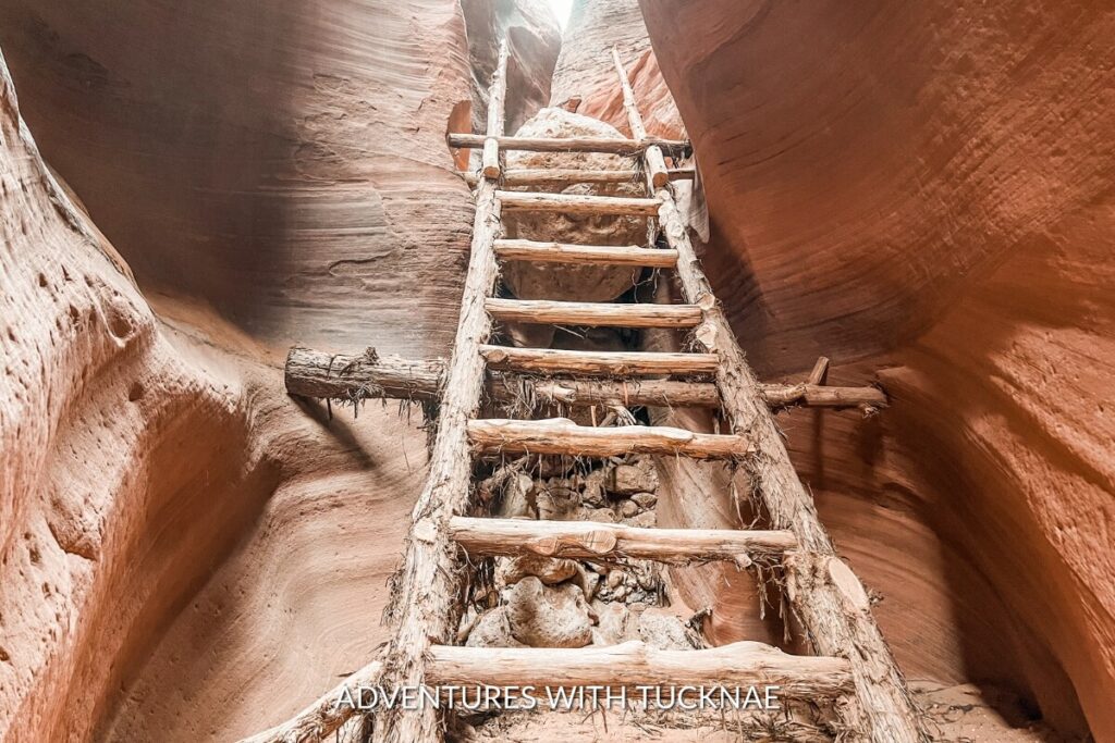 A rugged wooden ladder leading up a steep section in the narrow, textured walls of Wire Pass Slot Canyon.