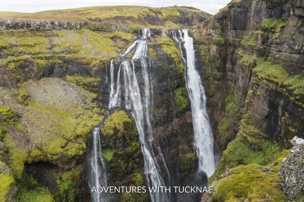 Glymur, Iceland's second-highest waterfall, cascading through a lush canyon, a breathtaking sight and one of the best waterfalls in Iceland.