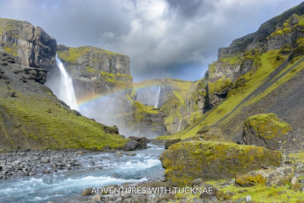 Haifoss waterfall in Iceland, one of the country's tallest falls, with a rainbow forming in the mist against a backdrop of dramatic cliffs.