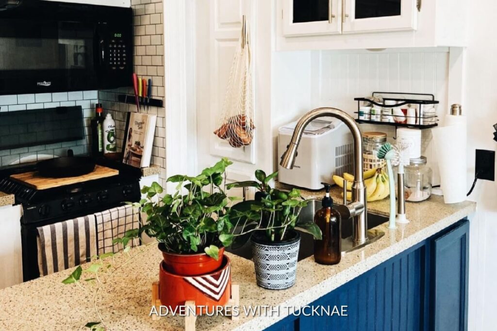 A lively RV kitchen with a subway tile backsplash, a net bag holding fresh produce, and a blue cabinet base, surrounded by healthy green plants and a toaster on the countertop.