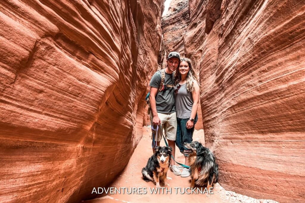 A couple with their two Mini Aussie dogs hiking in Utah
