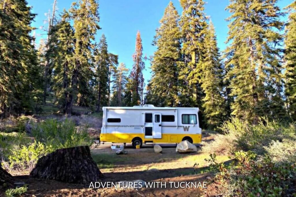 A white and yellow Winnebago RV boondocking in the forest