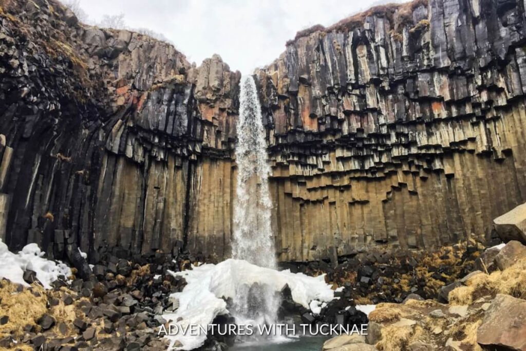 Svartifoss waterfall in Iceland during the winter with ice forming at the base of the waterfall
