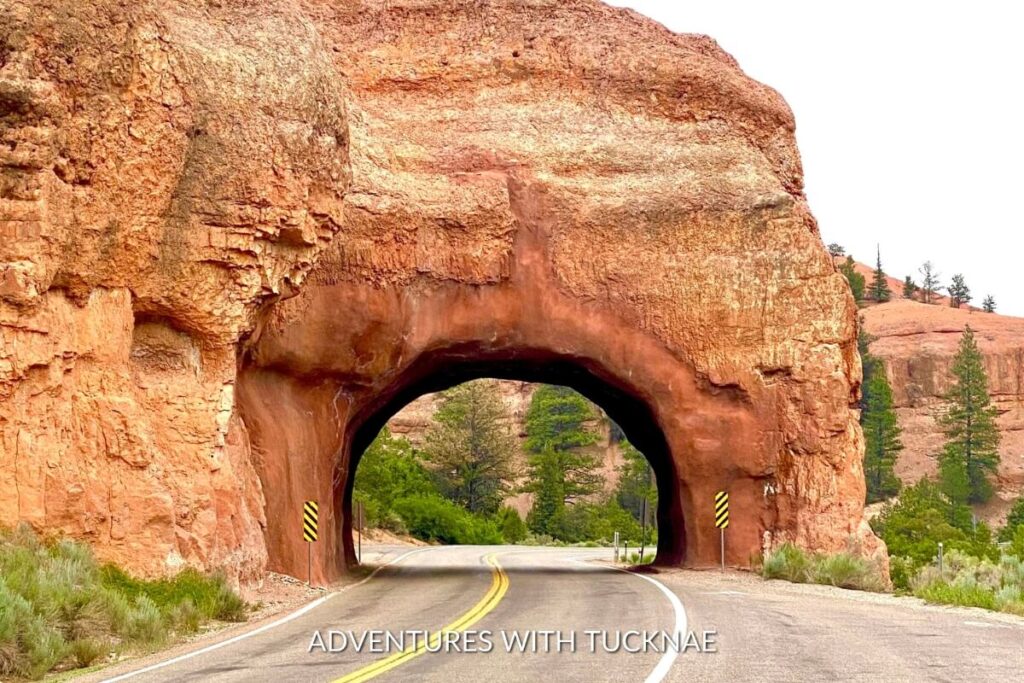 The Red Canyon Highway Tunnels cut through vibrant red rock formations, creating a striking and instagrammable roadway in Utah surrounded by natural beauty.
