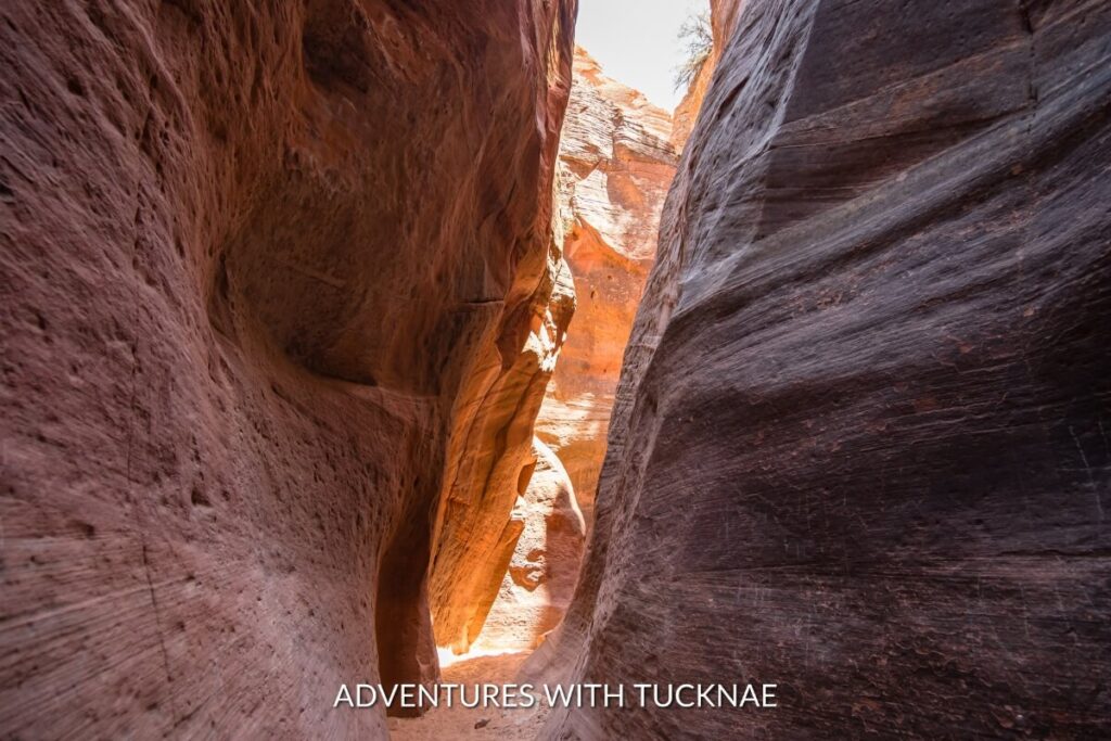 The warm glow of sunlight illuminates the narrow, textured walls of Red Hollow Slot Canyon, an instagrammable hidden gem in Utah inviting exploration.