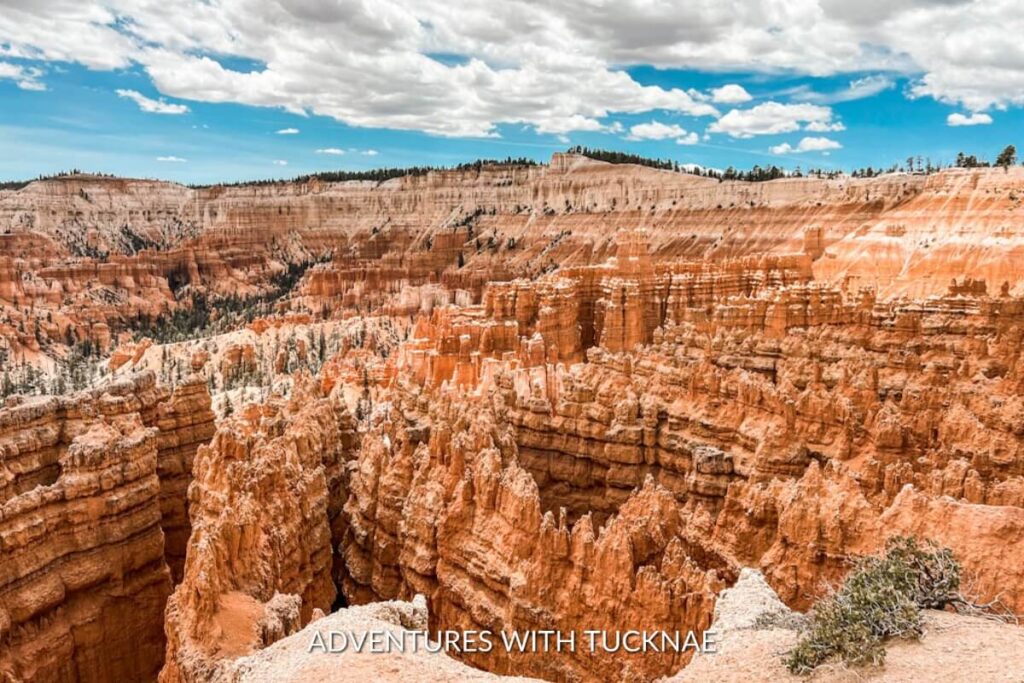 Wall Street, a popular and instagrammable narrow canyon within Bryce Canyon National Park, Utah, is lined with towering hoodoo rock formations and evergreen trees.