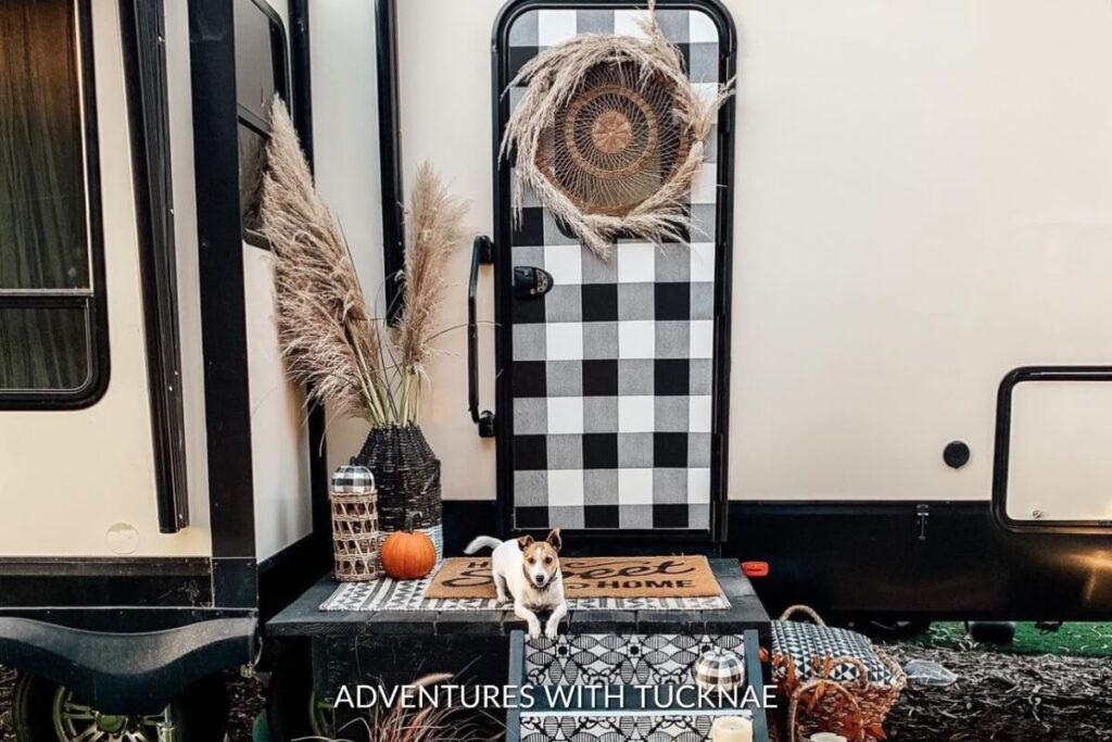 Autumn-themed RV entryway with a black and white checkered wallpaper, decorated with seasonal accents and a welcoming Jack Russell Terrier.