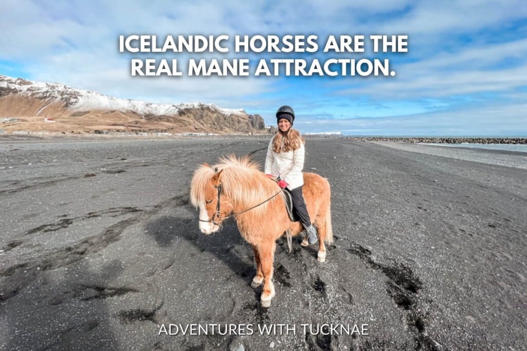 A woman riding an Icelandic horse on a black sand beach with the text, "Icelandic horses are the real mane attraction."