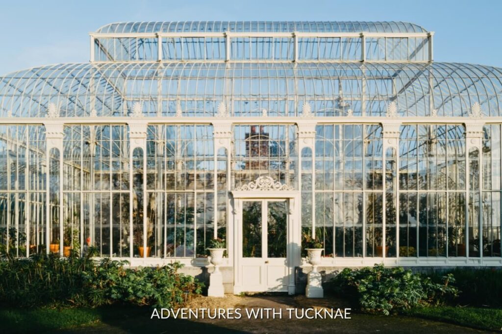 Gleaming glasshouses of the National Botanic Gardens in Dublin, surrounded by manicured plants, a serene and Instagrammable location.