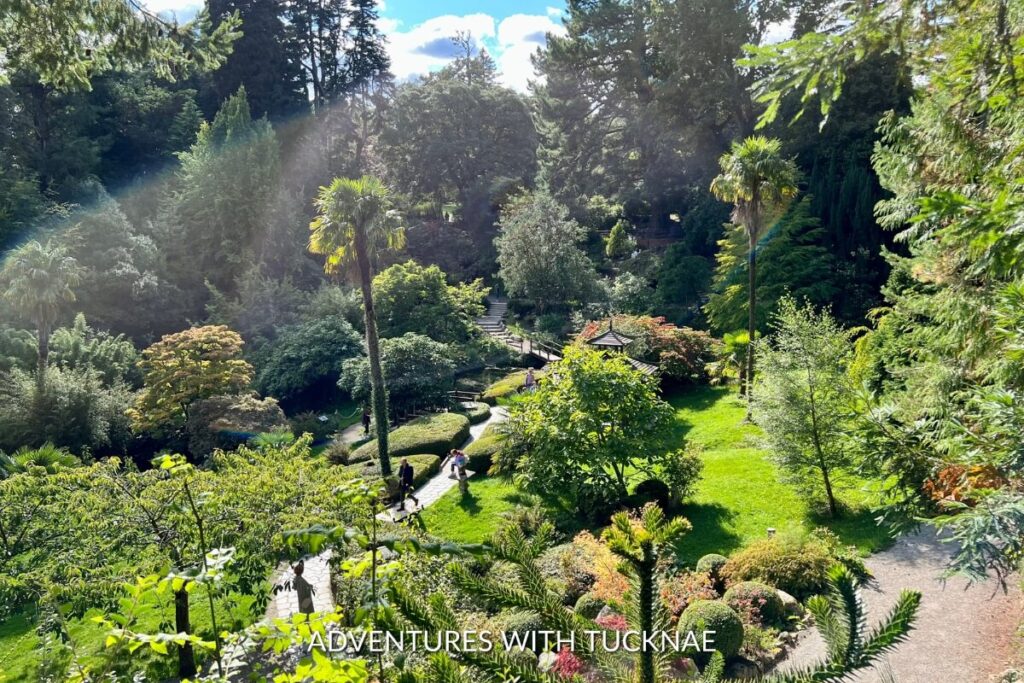 Sunlight filters through the trees of Powerscourt Gardens, illuminating paths and plants in one of the most serene Instagram spots in Ireland.