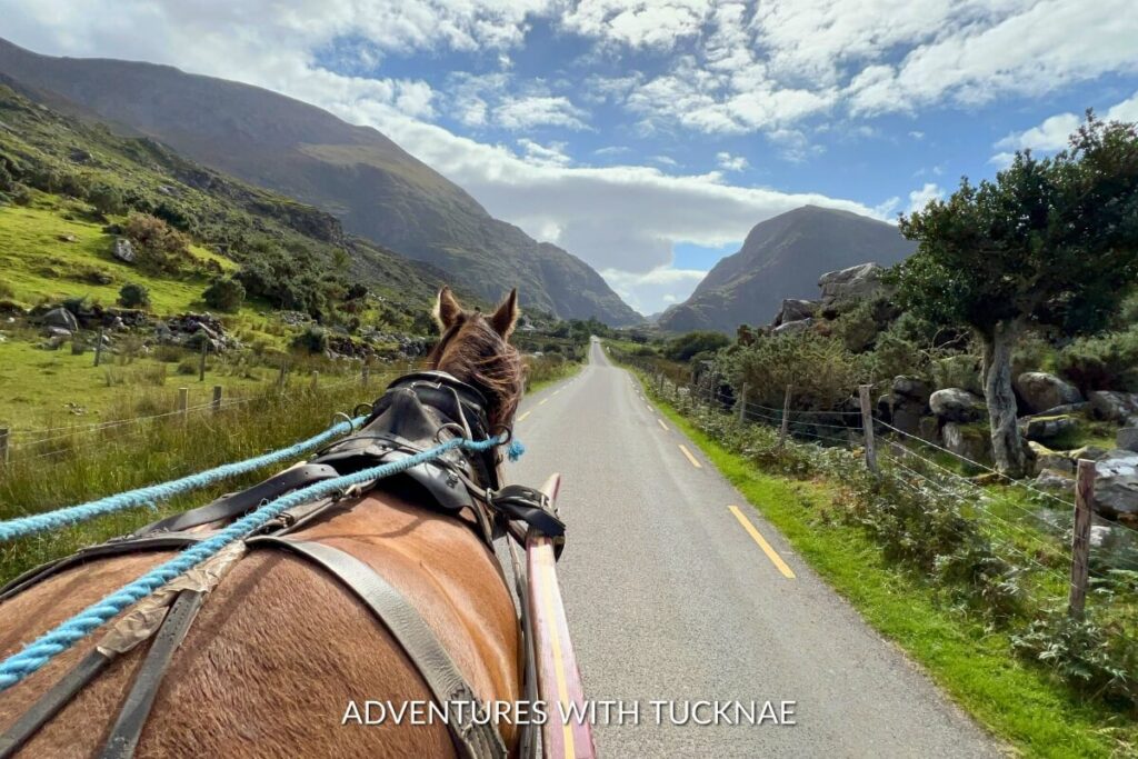 A horse-drawn jaunting car travels the narrow road of the Gap of Dunloe, flanked by rugged mountains, an enchanting Instagrammable place in Ireland.