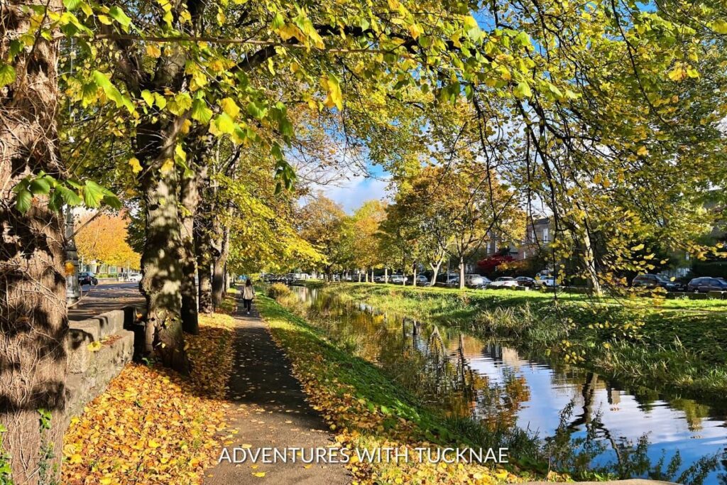 A peaceful stroll along the Grand Canal Walk in Dublin, lined with autumn leaves and reflecting the serene sky, perfect for an Instagrammable moment.