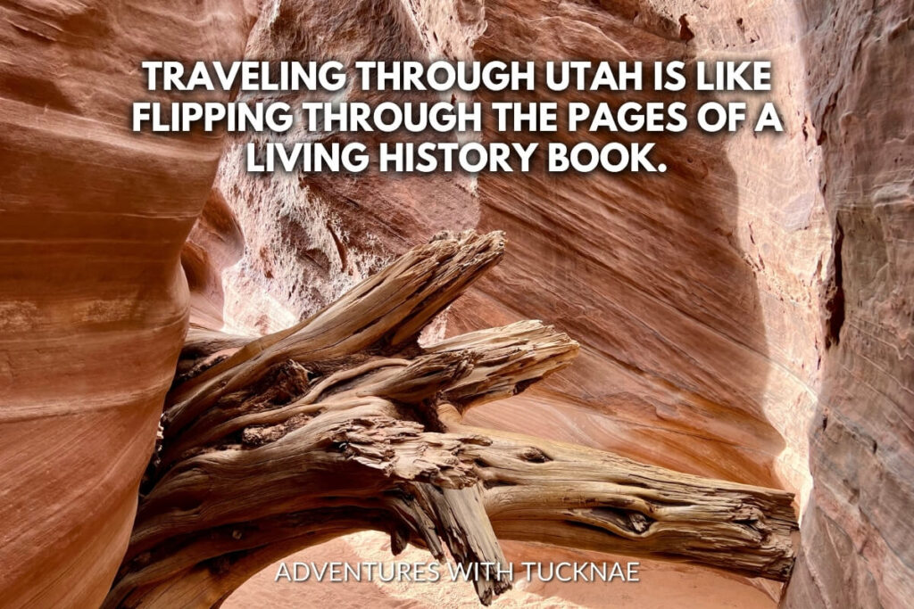A sinuous red rock slot canyon with a fallen tree trunk inside, symbolizing the historical depth of Utah with the quote, "Traveling through Utah is like flipping through the pages of a living history book."