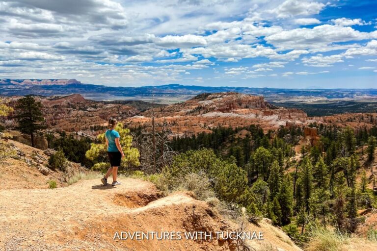 A hiker looking out over the expansive, multi-colored landscape of Bryce Canyon National Park in Utah.