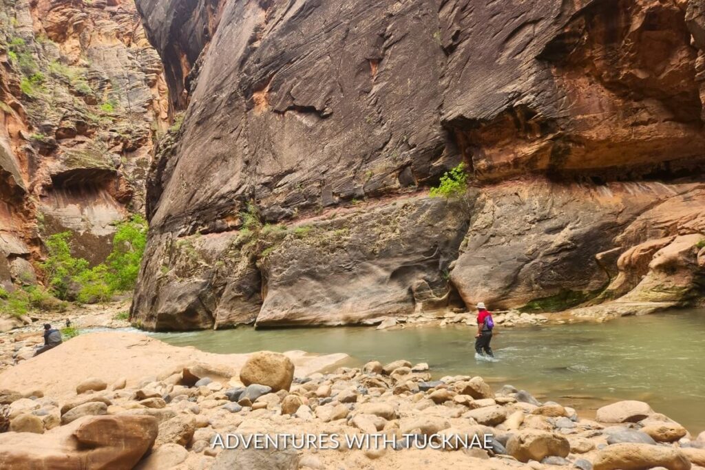 A person wading through the Virgin River in The Narrows of Zion National Park, surrounded by towering rock walls on a hike near Kanab, Utah.