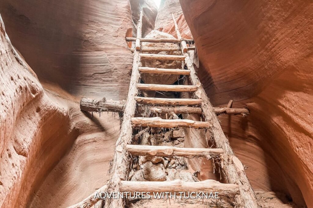 Rustic wooden ladder leading into the narrow slot canyons of Wire Pass, a dramatic hiking trail near Kanab, Utah.