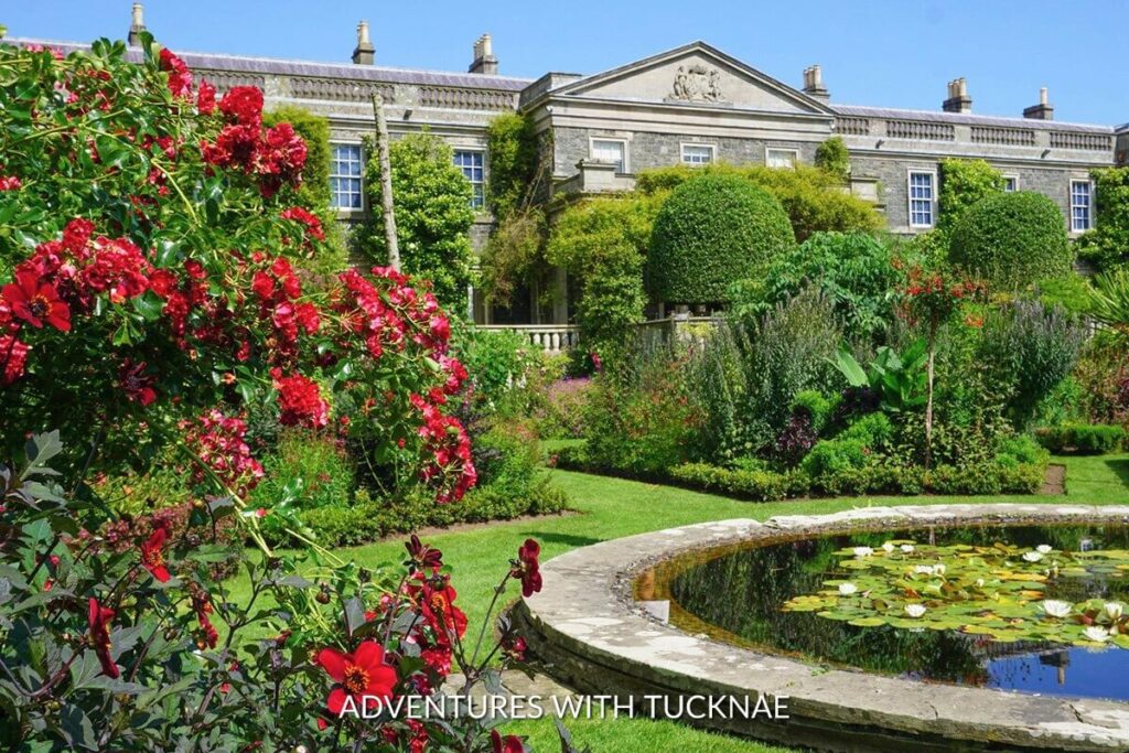 Mount Stewart's vibrant gardens, blooming with red flowers and a tranquil lily pond, offer an exquisite burst of color that stands out among Instagrammable places in Northern Ireland.
