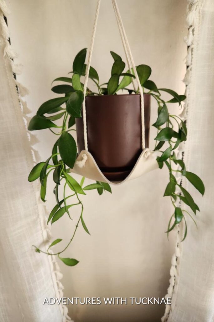 A close-up of a hanging potted plant in an RV, suspended in a cream-colored macramé holder against a neutral curtain, offering a simple yet beautiful touch of nature.