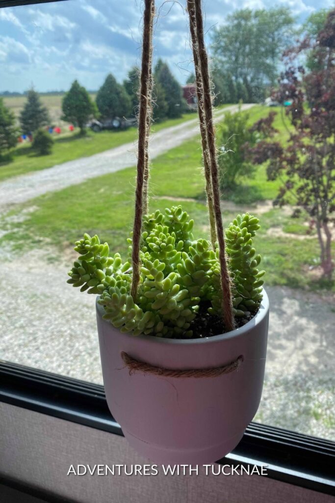 Succulent Burro's Tail plant in a hanging pink pot by the RV window, offering a serene view of the outside landscape.