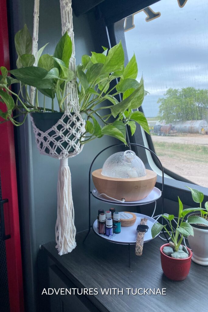 Verdant pothos plant in a decorative pot on a two-tiered shelf in an RV, accompanied by essential oils and a diffuser.
