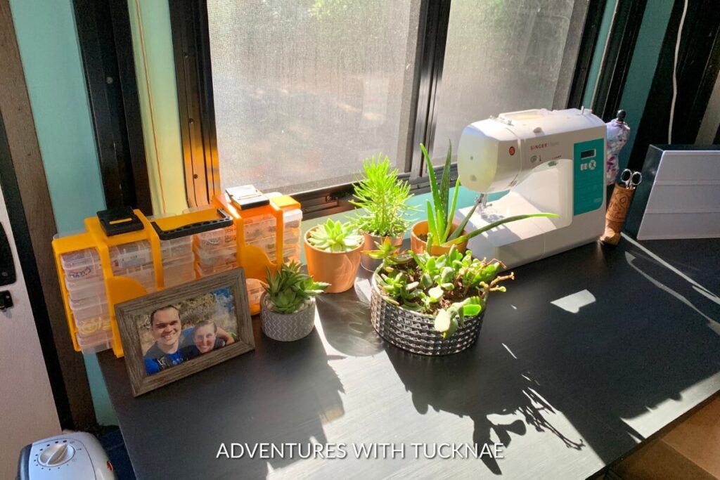 An array of succulents basks in the natural light by the RV window, adding a pop of green life to the creative workspace with a sewing machine.