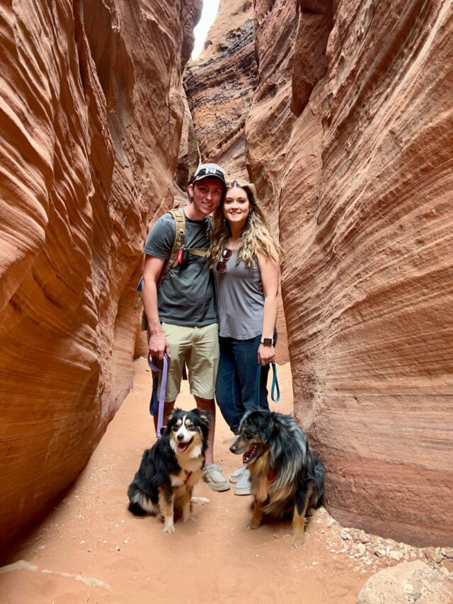 5 Tips for Hiking With Dogs