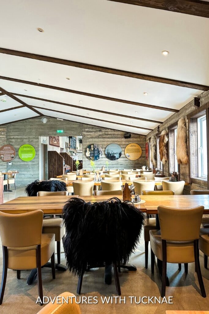 A cozy, well-lit restaurant interior with wooden beams and unique furnishings covered in furry textiles, providing a warm and inviting dining atmosphere.