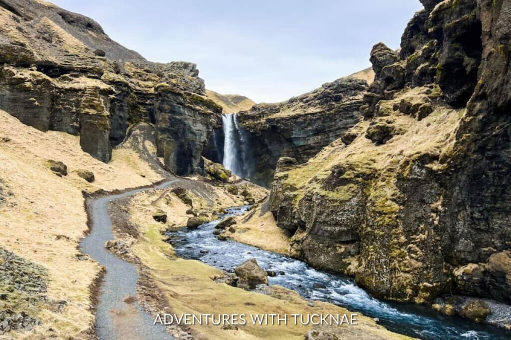 A stunning view of the Kvernufoss waterfall in the gorge with the trail heading to the falls. 
