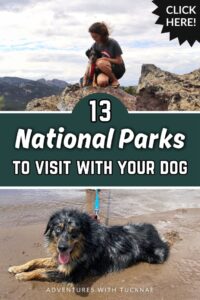 13 National Parks to Visit with Your Dog